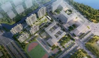 软件设计师考试报名 软件设计师考试报名